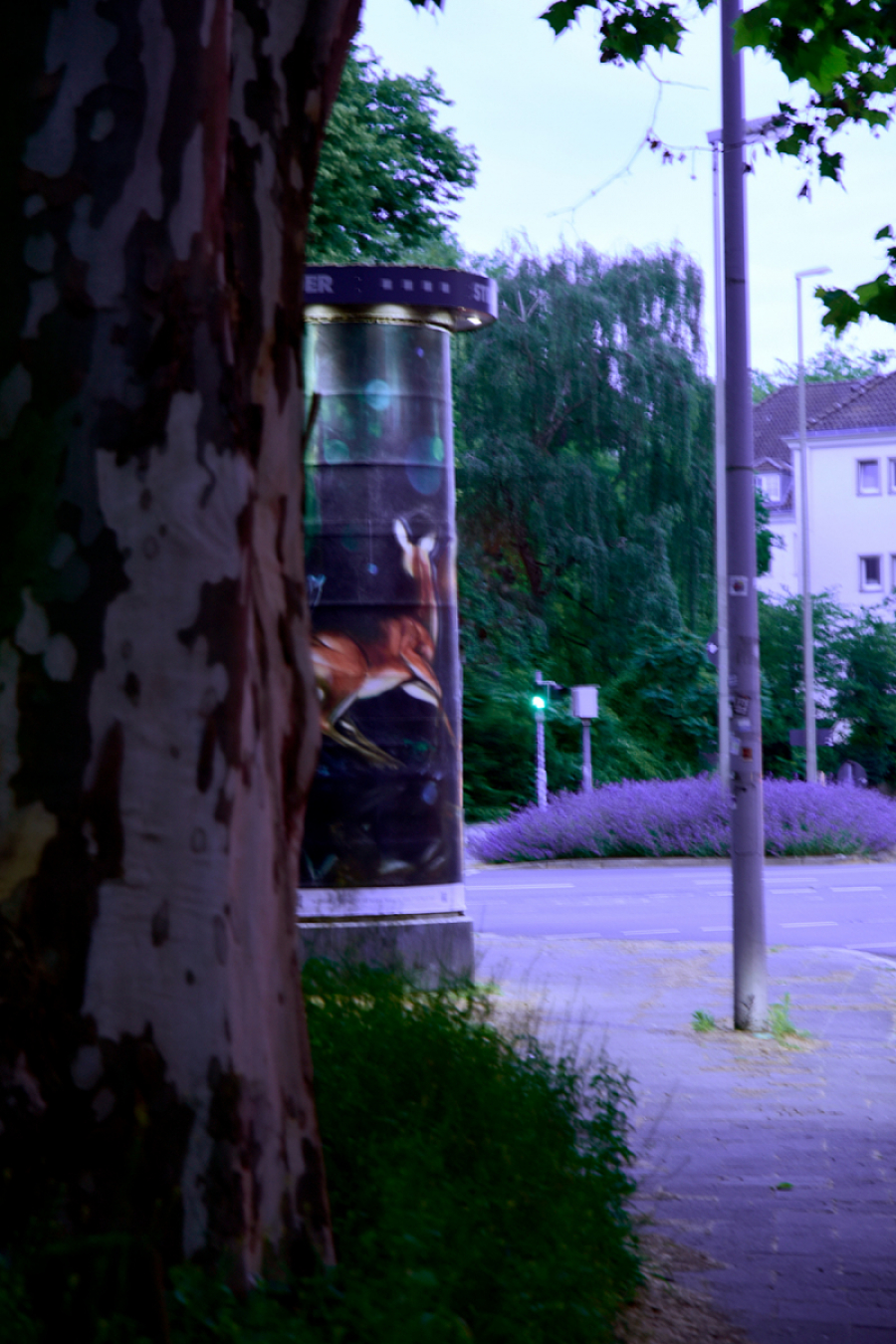 #kunstsichtbar_SIIC3.jpg