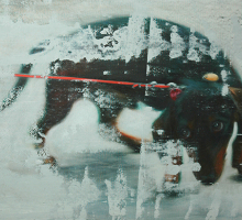Underdog, 2015, oil on canvas, 75 x 115 cm.jpg
